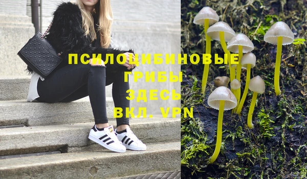 винт Алзамай
